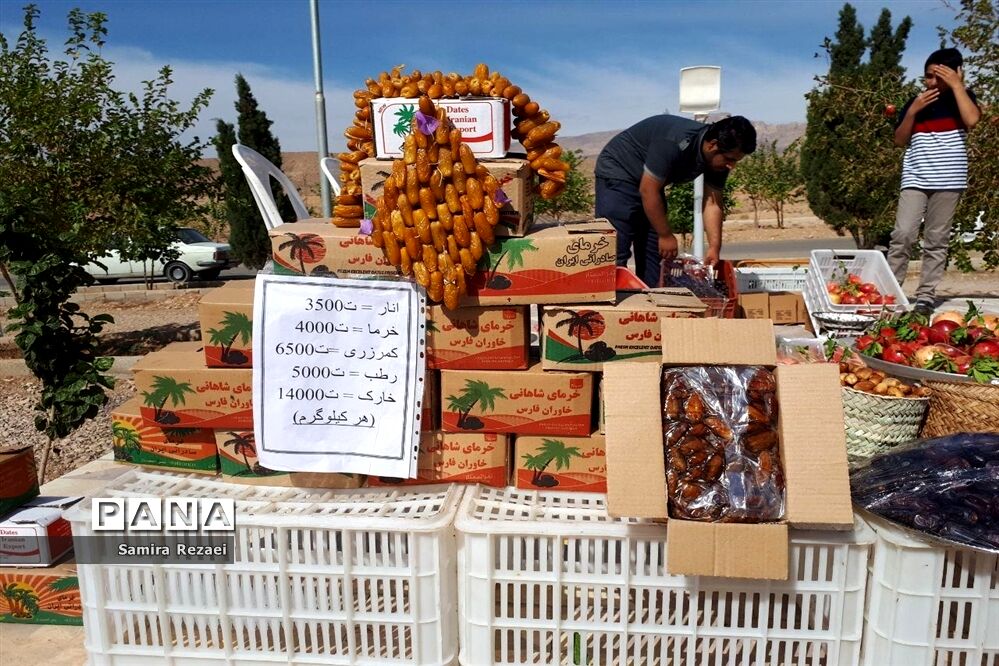 برگزاری نخستین جشنواره انار و خرمای شهر خاوران