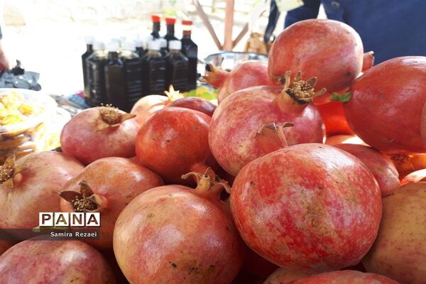 برگزاری نخستین جشنواره انار و خرمای شهر خاوران