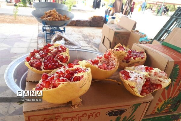 برگزاری نخستین جشنواره انار و خرمای شهر خاوران
