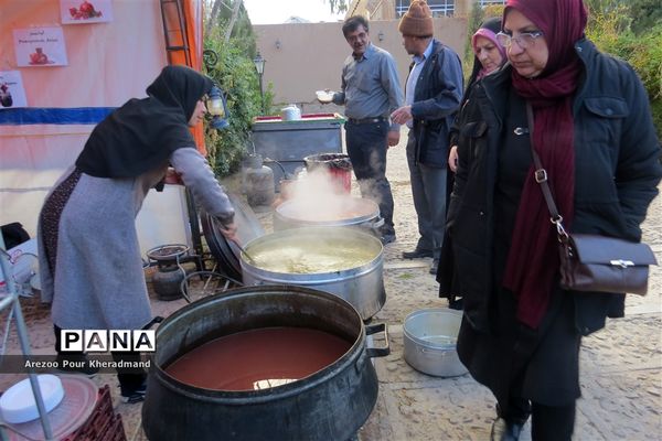 برگزاری جشنواره انار در باغ صدری شهرستان تفت در یزد
