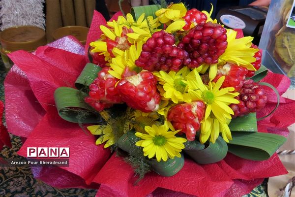 برگزاری جشنواره انار در باغ صدری شهرستان تفت در یزد