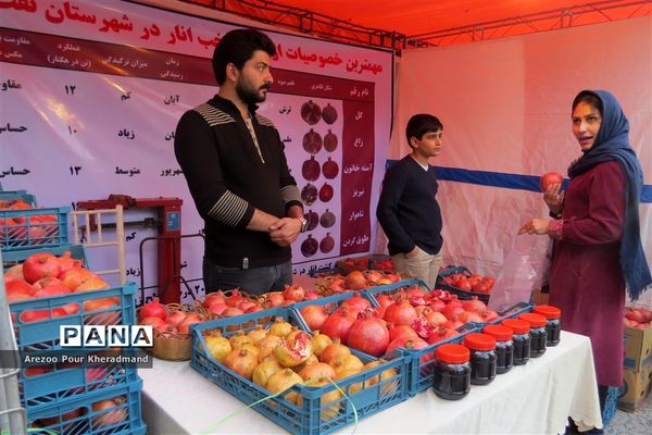 برگزاری جشنواره انار در باغ صدری شهرستان تفت در یزد