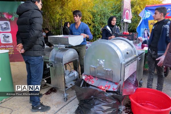 برگزاری جشنواره انار در باغ صدری شهرستان تفت در یزد