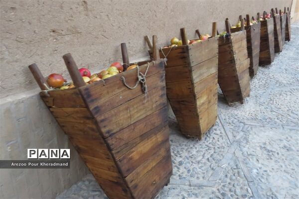 برگزاری جشنواره انار در باغ صدری شهرستان تفت در یزد