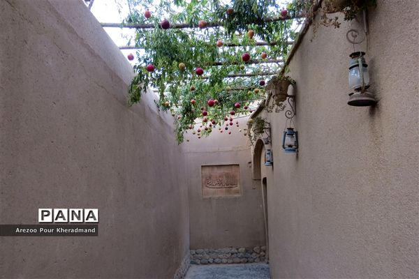 برگزاری جشنواره انار در باغ صدری شهرستان تفت در یزد