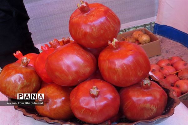 برگزاری جشنواره انار در باغ صدری شهرستان تفت در یزد