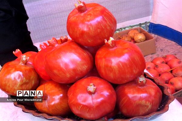 برگزاری جشنواره انار در باغ صدری شهرستان تفت در یزد