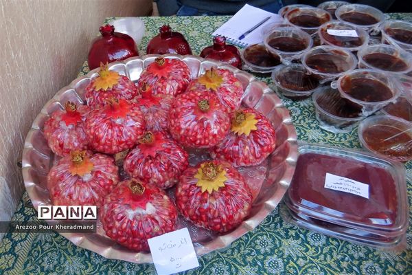 برگزاری جشنواره انار در باغ صدری شهرستان تفت در یزد