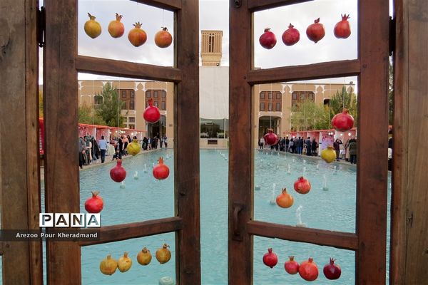 برگزاری جشنواره انار در باغ صدری شهرستان تفت در یزد