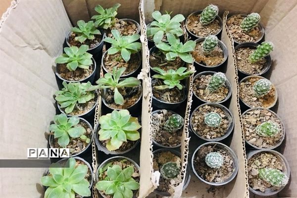 برگزاری مراسم تجلیل از دانش‌آموزان و جشن امام زمان