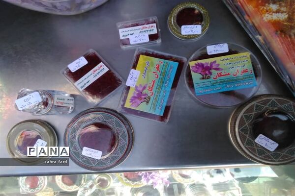 برگزاری جشنواره زعفران در شهر مشکان نی ریز