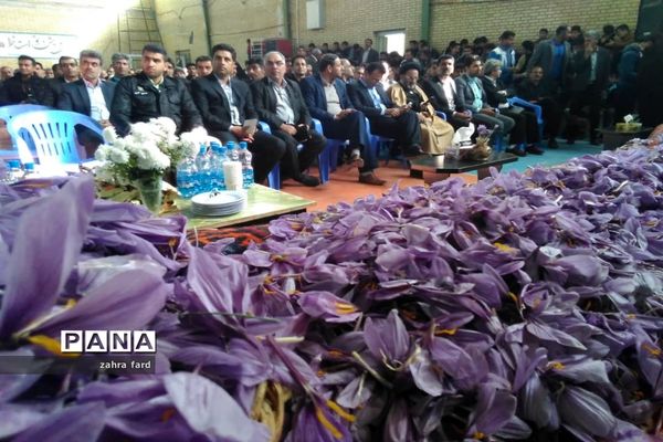 برگزاری جشنواره زعفران در شهر مشکان نی ریز