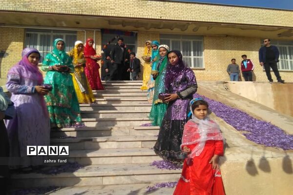 برگزاری جشنواره زعفران در شهر مشکان نی ریز