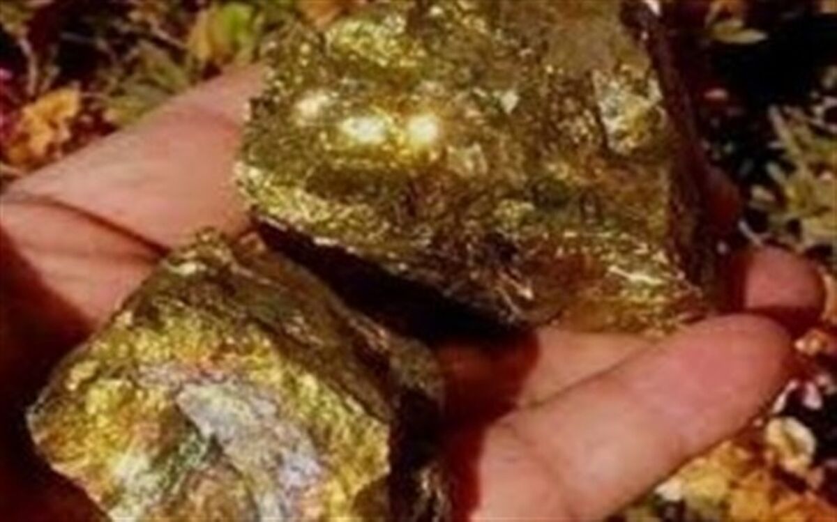 گمرک کیش گمرک تخصصی ترخیص طلا و جواهرات اعلام شد