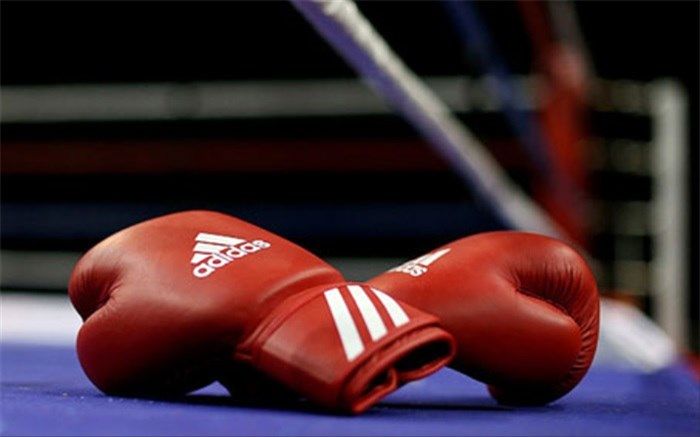 قهرمان استعدادهای برتر بوکس کشور مشخص شد