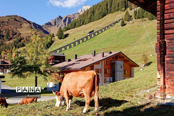 قطار‌های کابلی در سراسر جهان