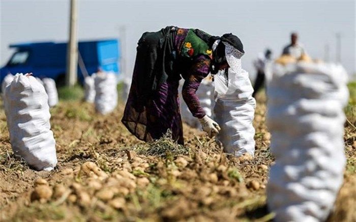 ۸۷ میلیارد تومان اعتبار به اشتغال روستایی و عشایری اختصاص یافت