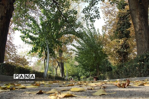طبیعت پاییزی پارک لاله تهران