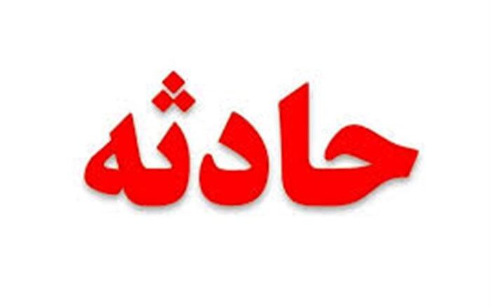 تیلر، جان کشاورز فردوسی را گرفت