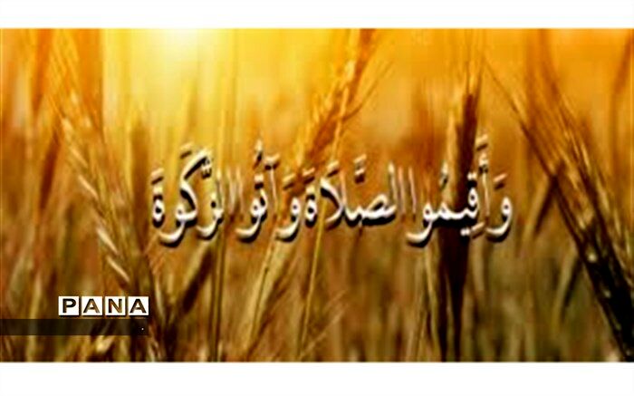 افزایش 32 درصدی پرداخت زکات در خراسان شمالی