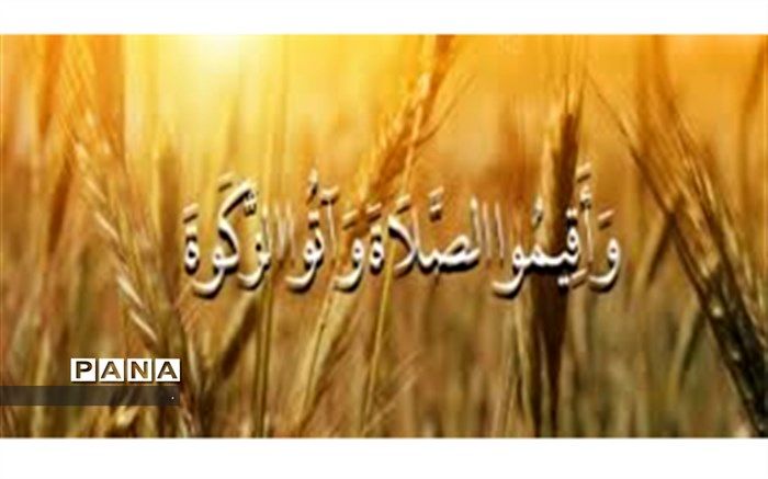 افزایش 32 درصدی پرداخت زکات در خراسان شمالی