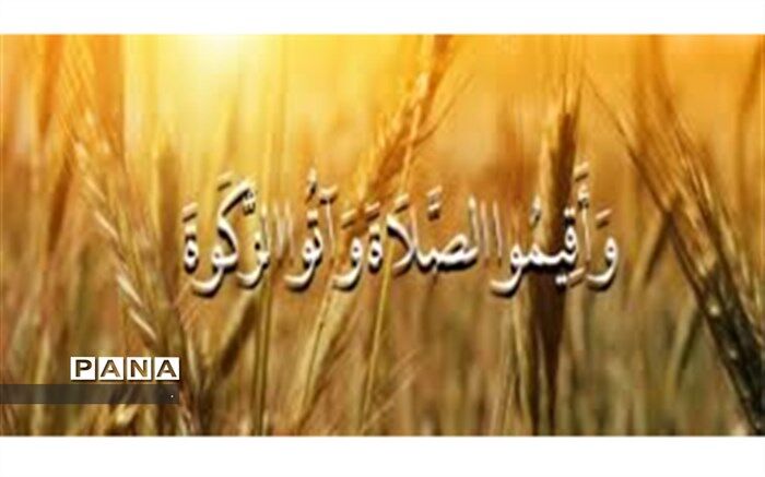 افزایش 32 درصدی پرداخت زکات در خراسان شمالی