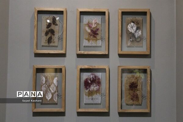 افتتاحیه نمایشگاه انفرادی سپس، جلوه ای دیگر از هنر نقاشی