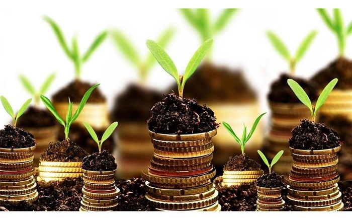 معاون امور اقتصادی  استانداری تهران : فرصت‌های سرمایه‌گذاری در ایران معرفی می‌شود