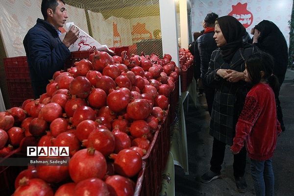 هشتمین جشنواره انار صد دانه یاقوت