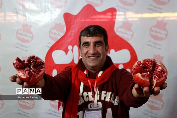 هشتمین جشنواره انار صد دانه یاقوت