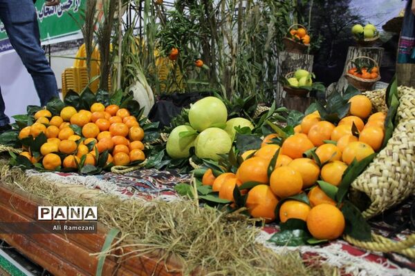 جشنواره ملی مرکبات و اقوام عشایر