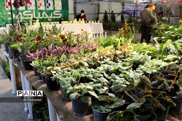 جشنواره ملی مرکبات و اقوام عشایر