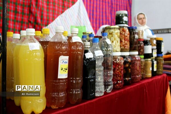 جشنواره ملی مرکبات و اقوام عشایر