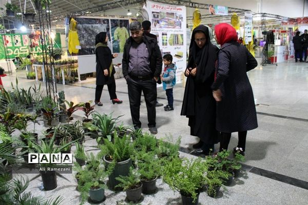 جشنواره ملی مرکبات و اقوام عشایر