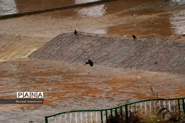 بارش باران در تبریز