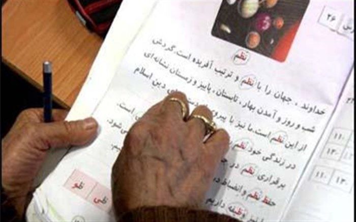 رئیس سازمان نهضت سواد آموزی: آیین‌نامه اجرایی استخدام آموزش‌دهندگان در حال تدوین است