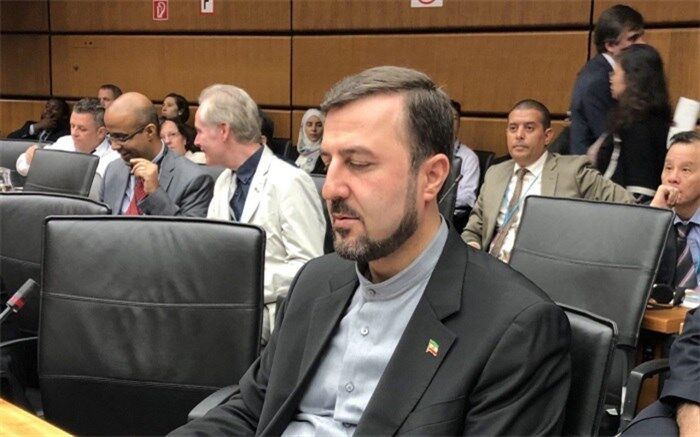 غریب آبادی: پایمردی هیات ایرانی شرکت کننده در اجلاس اوپک نتیجه داد