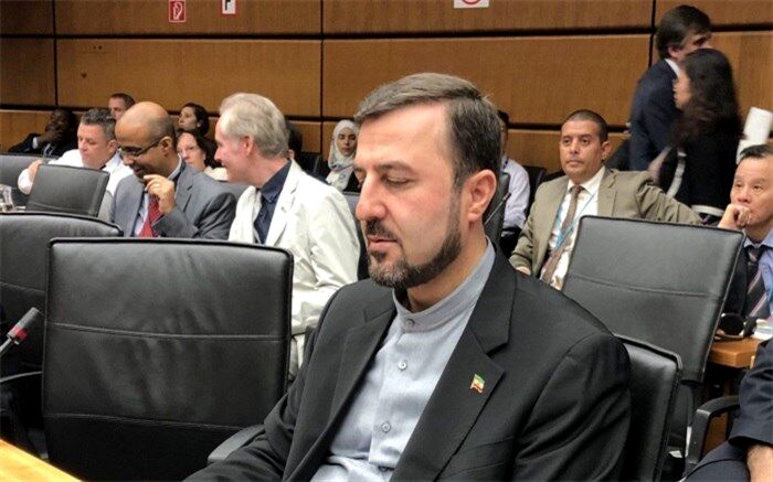 غریب آبادی: پایمردی هیات ایرانی شرکت کننده در اجلاس اوپک نتیجه داد