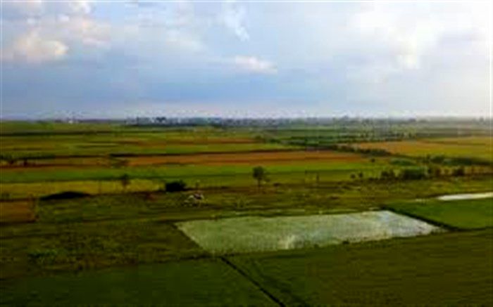 خاک مازندران عاری از آلودگی چالش‌برانگیز است