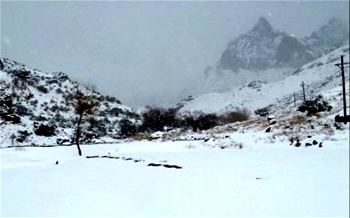 رهاسازی ٢٠١ خودروی درگیر برف و کولاک