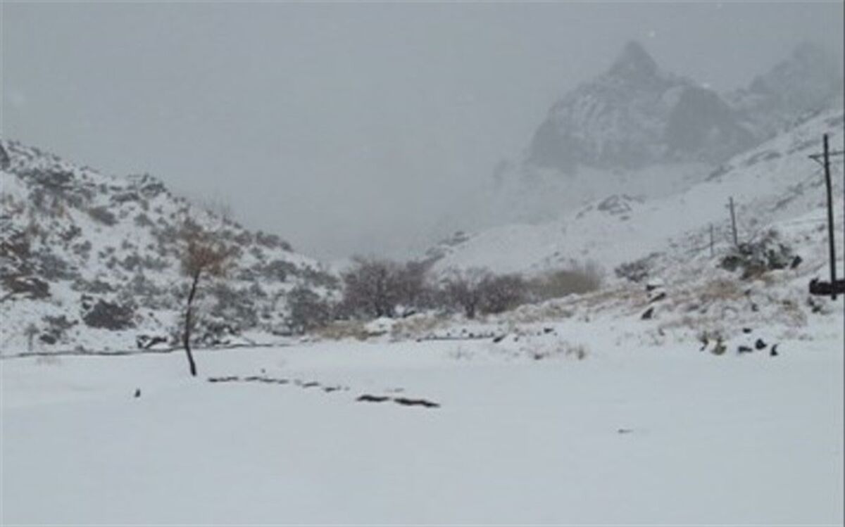 رهاسازی ٢٠١ خودروی درگیر برف و کولاک