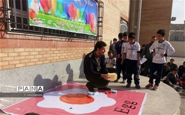 مسابقه نجات تخم مرغ