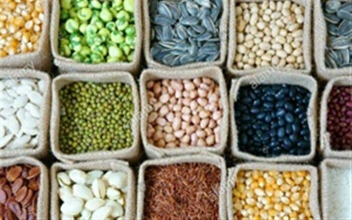 بوکان بزرگترین تولید کننده حبوبات در آذربایجان غربی