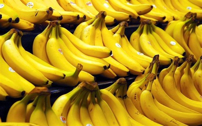 واردات موز به کشور 38 درصد کاهش یافت