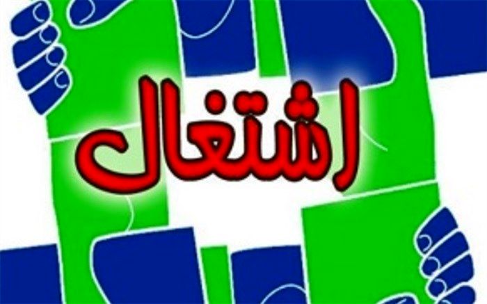 مدیر اجرایی طرح بین المللی ترسیب کربن :افزایش اشتغال با تشکیل ۹۷ صندوق خرد اعتباری