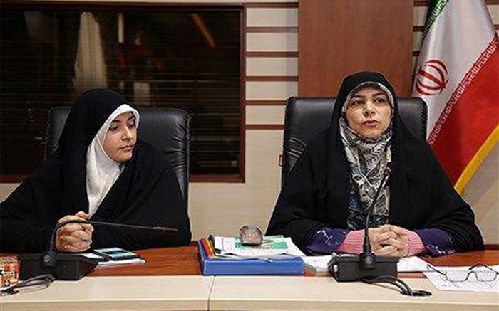 رئیس دبیرخانه مجلس دانش آموزی: دوره نهم مجلس دانش آموزی دوره طلایی مجلس است