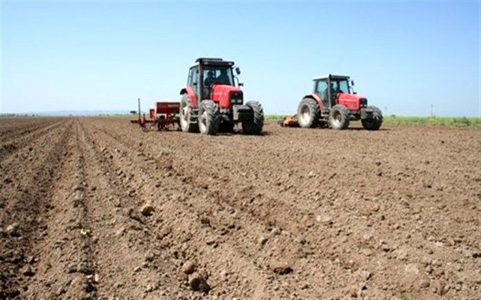 اختصاص 27 هزار هکتار از مزارع نقده به کشت گندم