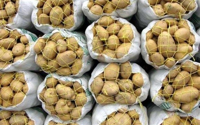 در پی درخواست استاندار اردبیل از وزیر جهاد کشاورزی؛ صادرات سیب زمینی آزاد شد