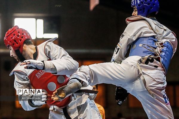 لیگ برتر تکواندو