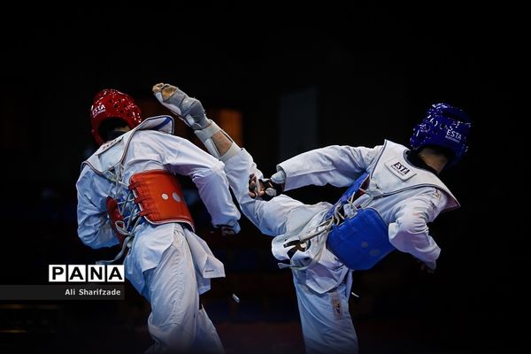 لیگ برتر تکواندو